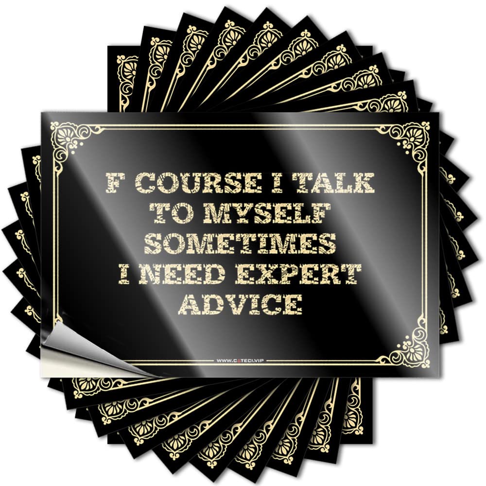 Saying Men Cave Decor Custom Stickers, Helmet Waterproof F Course I Talk to Myself, Sometimes I Need Expert Advice for Hydro Flask | Metal Vinyl Decals for Billiards Holiday Gift(6X9CM)
