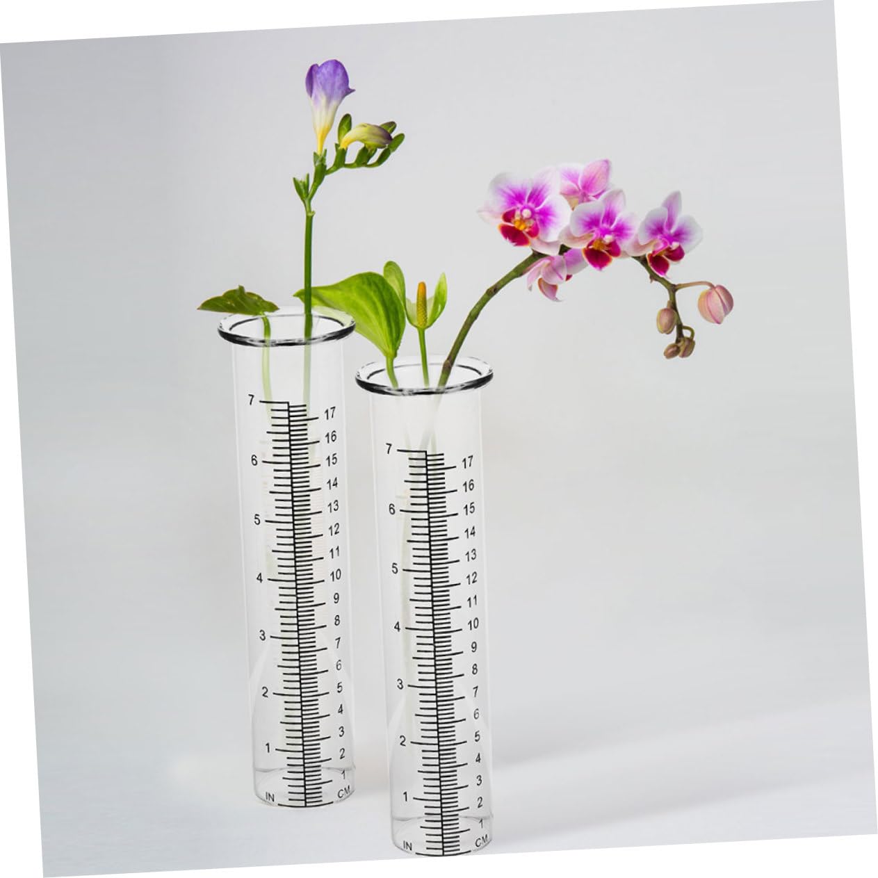 INOOMP 8stücke Regenmesser Mit Transparente Niederschlagsmessröhre Für Garten Und Regenmesswerkzeug Für Präzise Messungen Im Freien
