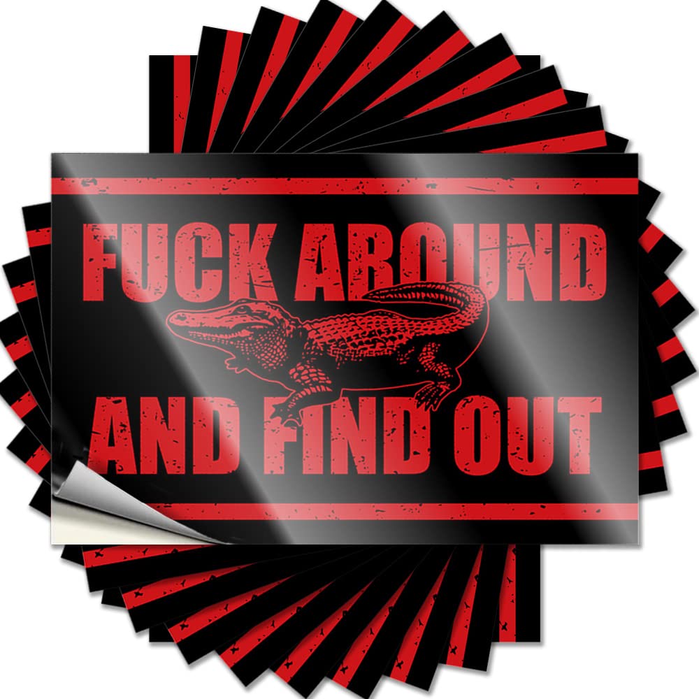Decal - Aesthetic Garage Fuck Around and Find Out for Girl Grunge(12X18CM)