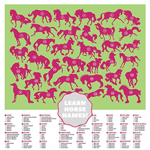 Crocodile Creek-100 PCS Puzzle/36 Horses Puzzle