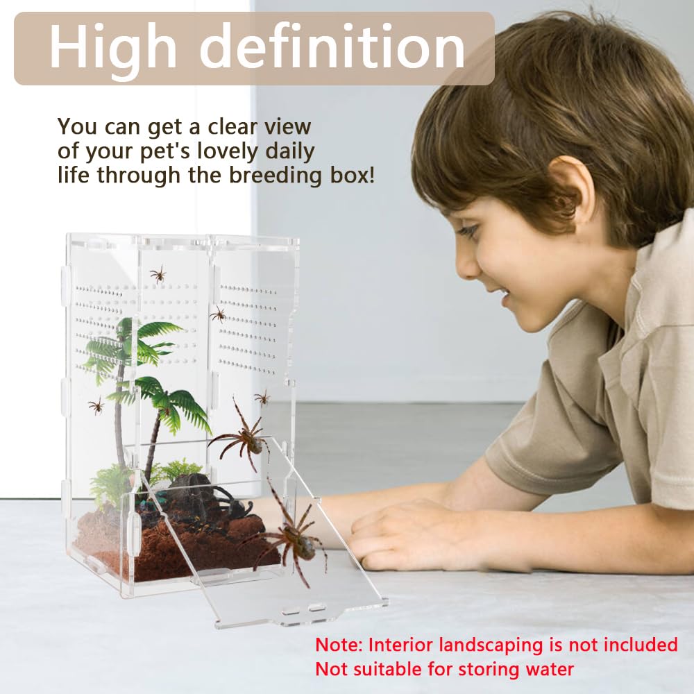 Tarantula Box Snapklik.com : Jumping Spider Enclosure, 4
