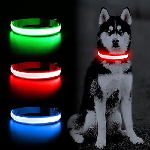Miniatura 1 de YFbrite Collar de perro ultraligero con LED recargable por USB, collar de perro con luz ajustable, collar de perro impermeable, collar de perro