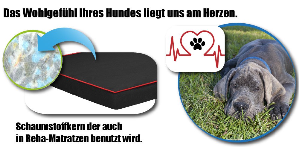 FORTISLINE Hundematte Hundebett OAHU Plus 2 Größen 4 Farben (XL - 120x80x8cm, Orange)