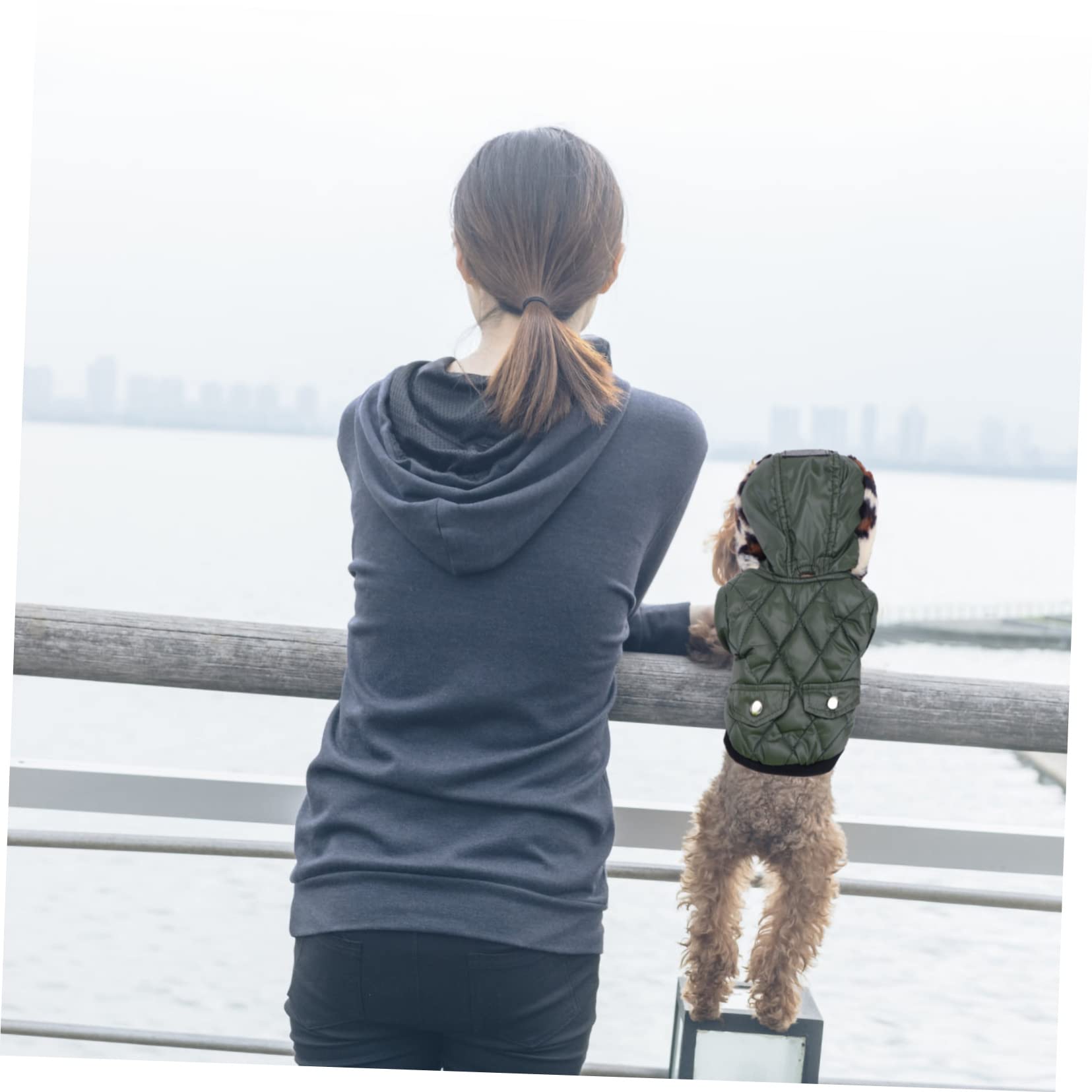 BESPORTBLE 2 Pz Vello Di Cane Felpe Con Cappuccio Per Animali Domestici Felpe Per Cani Abbigliamento Monopezzo Cucciolo Abbigliamento Per Cani Gilet Per Cani Animale Domestico Invernali