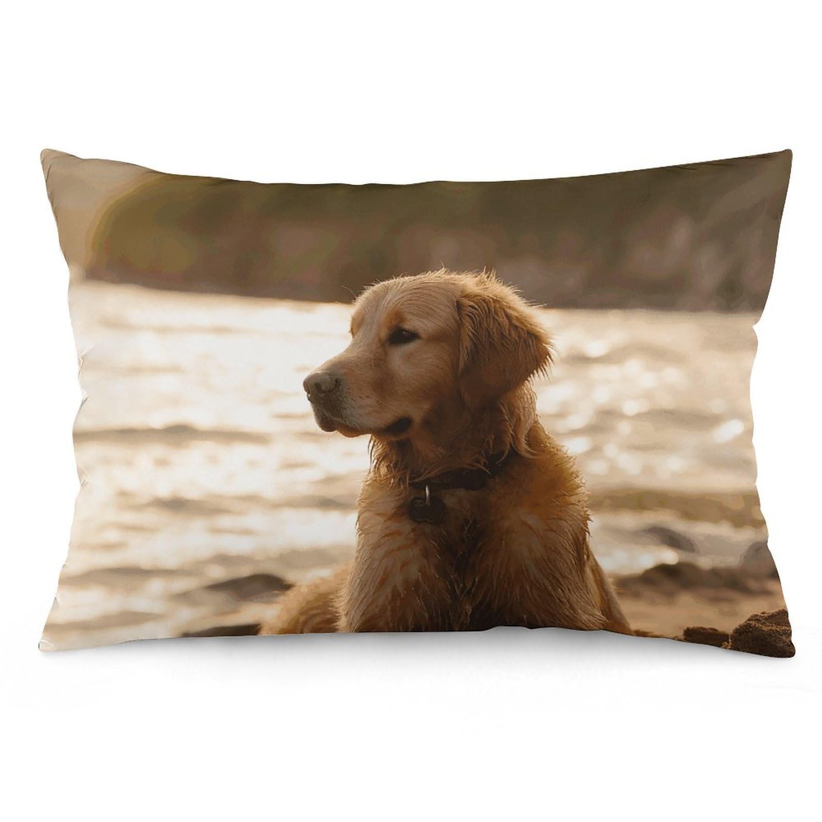 2 Pack Pillow Cases for Hair and Skin, Soft Breathable Pillow Case Covers with Hidden Zipper, Retriever Pillowcase 16 "x24 Pillow Covers for Sleeping Gift