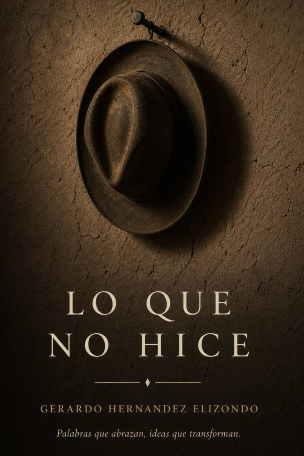 LO QUE NO HICE
