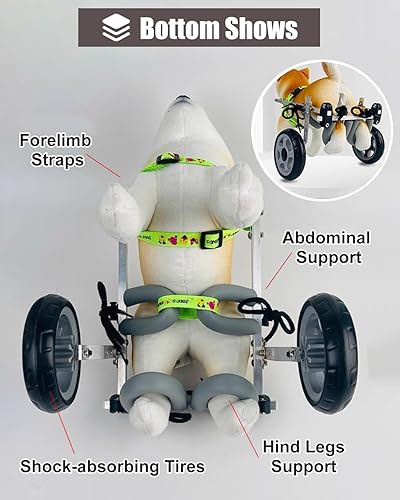 Miniatura 4 de Sillas de ruedas para perros discapacitados para patas traseras, andador asistido por perros pequeñosmedianos con ruedas, ayuda para carrito de