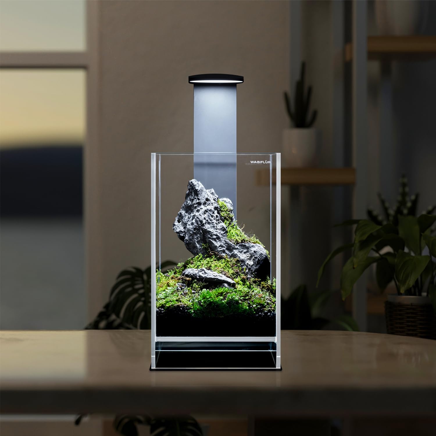 Terrario Terrarium in Vetro Extrachiaro con LED Integrato, Design Elegante per Ecosistemi Naturali e Giardini Acquatici, Dimensioni 15x15x25 h cm