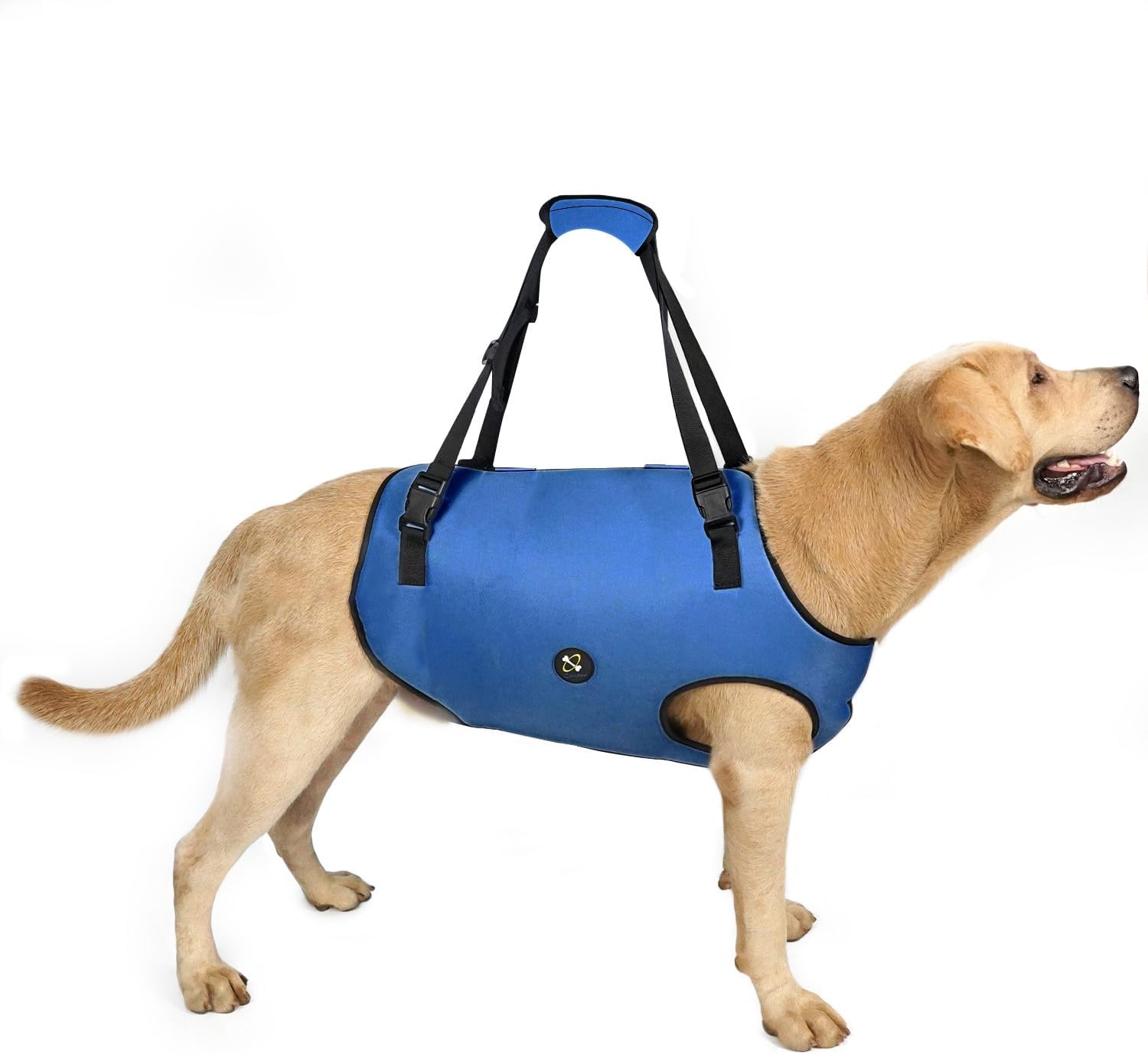 Coodeo Dog Lift Harness, Pet Support & Rehabilitation Sling Lift Adjustable Padded Breathable Straps for Old, Disabled, Joint Injuries, Arthritis, Loss of Stability Dogs Walk (Blue, XS)