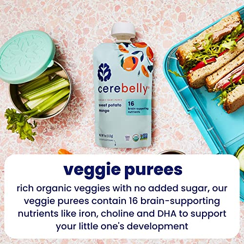 Cerebelly Baby Food Pouches – Sweet Potato Mango (4 Oz, Pack Of 6) - Toddler Snacks - 16 Brain-Supporting Nutrients From Superfoods - Healthy Snacks, Gluten-Free, Bpa-Free, Non-Gmo, No Added Sugar #TOP6