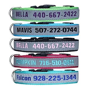 Personalised Dog Collars,Custom Reflective Dog Collar with Pet Name & Phone Number,Embroidered ID collar,multiple color, 4 Adjustable Sizes: XS, S, M, L