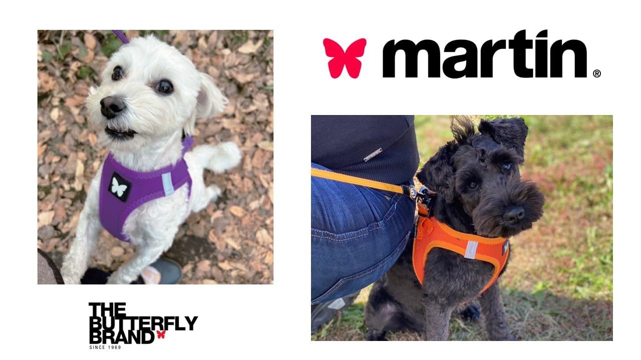 マーティン様用 Amazon.co.jp: martin バタフライハーネス XS バイオレット : 楽器