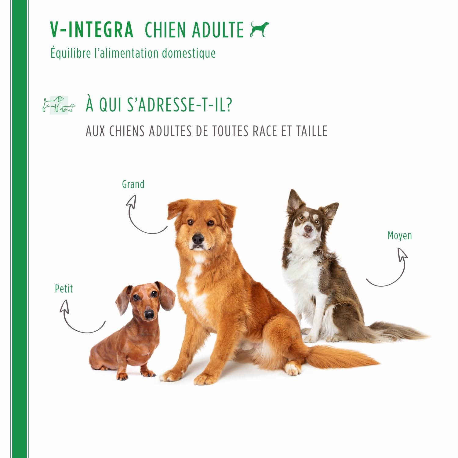V-INTEGRA Chien Adulte - Supplément Complet Riche en vitamines et minéraux pour la Ration ménagère et Barf des Chiens Adultes - 200 g - Produit en Italie