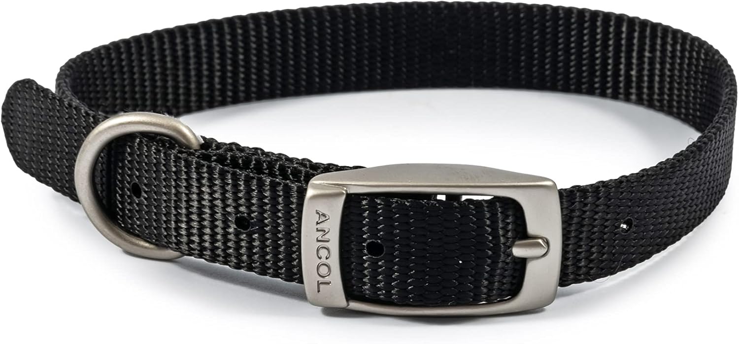 Ancol Viva Lightweight Buckle Collar, Red, Size 4 to fit 35-43 cm, Weather Proof