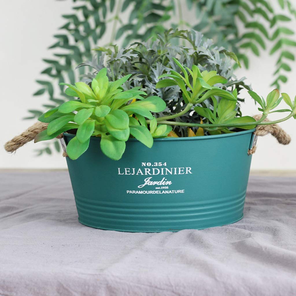Botanischer Garten Dekorieren Pflanzenkbel, Kaktus Grn Dill Blumentopf  Hanf-Seil-Handgriff aus Metall Blumentopf Sofa Tisch Couchtisch  Pflanzenkbel, Blau / Grn / Gelb Blumentpfe des Grtners: Amazon.de:  Garten