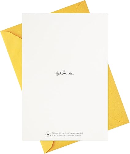 Miniatura 8 de Hallmark Surtido de tarjetas de cumpleaños, 16 tarjetas con sobres (Classic Celebrate)