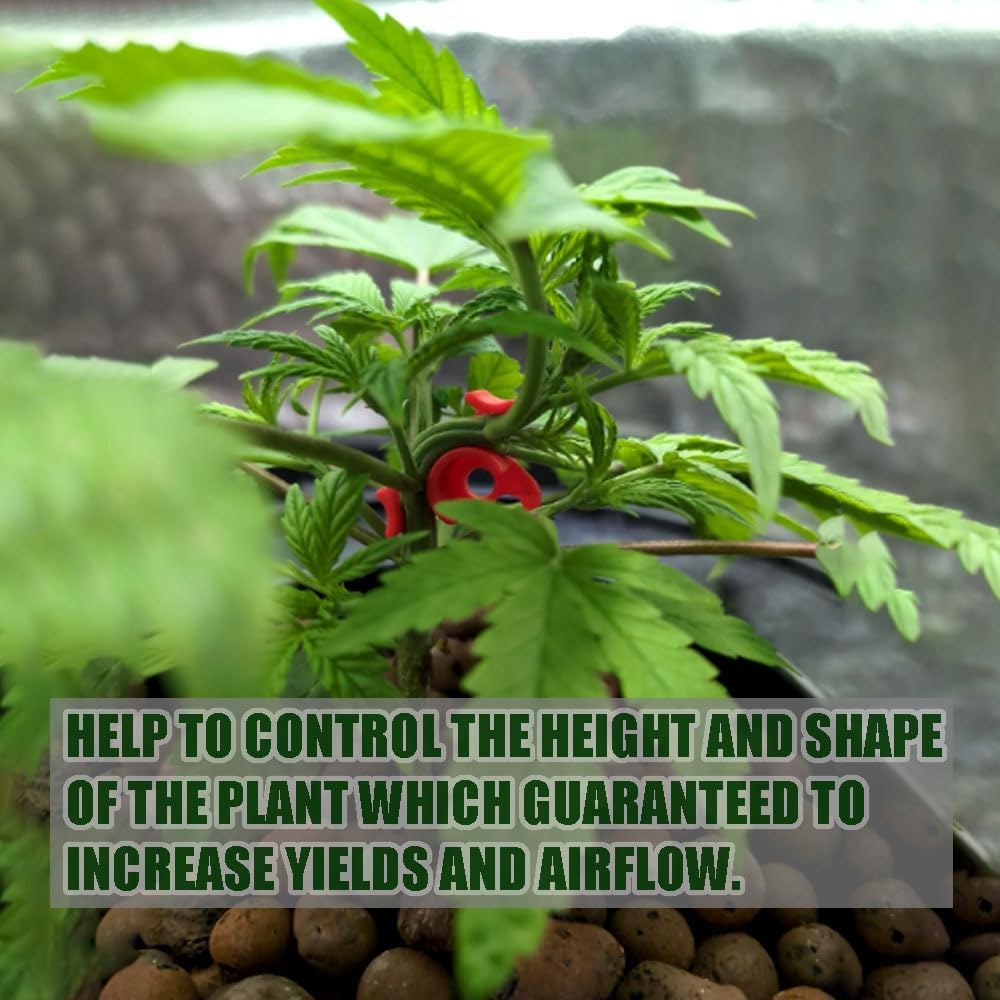 Treilli Pour Plante Grimpante - 100 Pièces Cintreuses Plantes Support Formation Clips Pliage