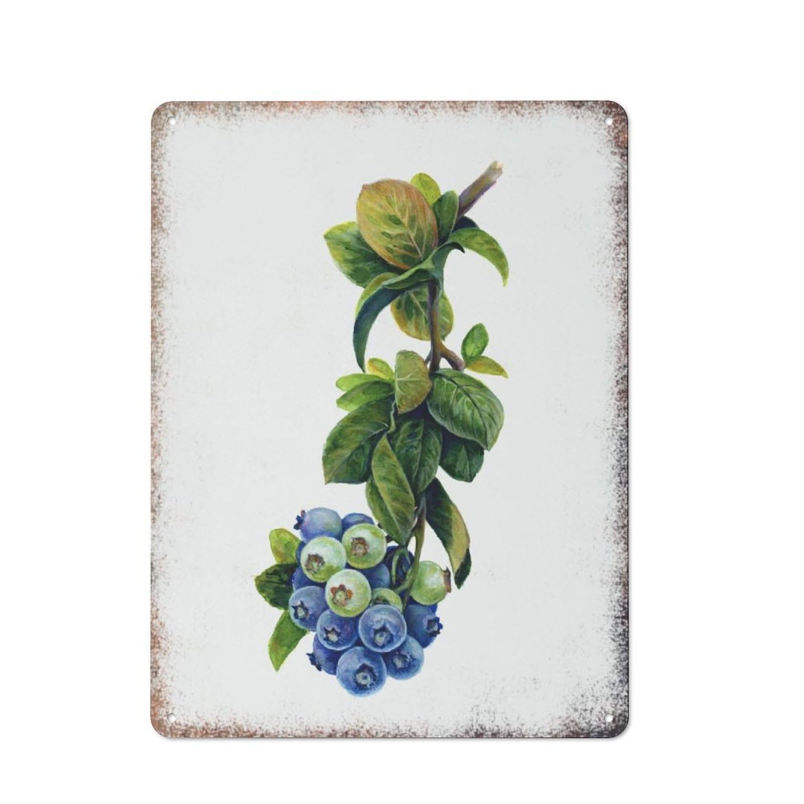 Watercolor Blueberry Floral Minimalist Home Yard Vintage Wall Art 8x12inch