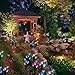 Outdoor Solar Garden Stake Lights - Doingart 2 Pack Solar Powered Lights with 8 Lily Flower, Multi-Color Changing LED Solar Decorative Lights for Garden, Patio, Backyard (Purple and White)