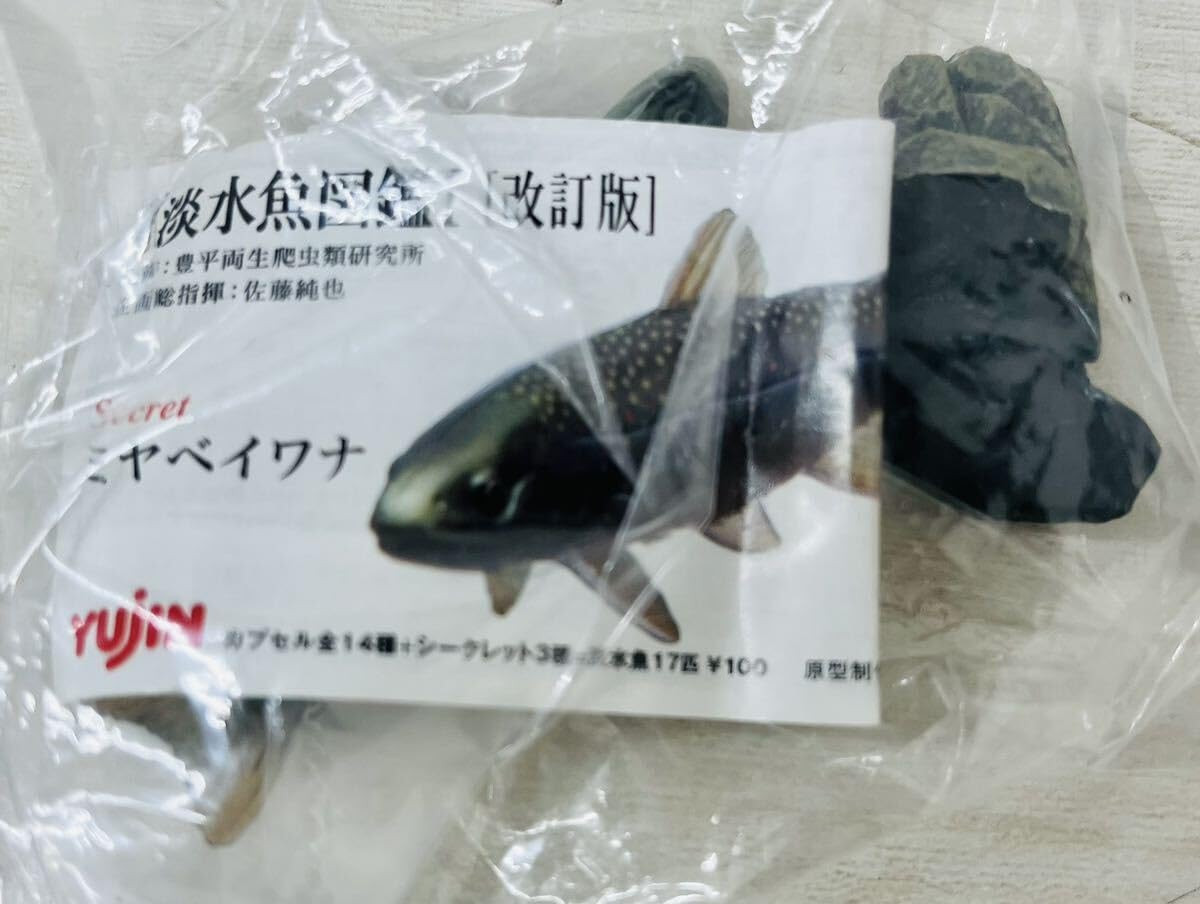 【未使用】YUJIN 原色　淡水魚図鑑Ⅰ 改訂版　17種 Amazon.co.jp: YUjIN 原色図鑑シリーズ21 原色淡水魚図鑑Ⅰ