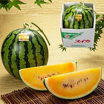 劇的に美味い！金色羅皇 熊本産 Mサイズ2玉セット11〜13k箱込　かめまる食堂 熊本産黄色果肉大玉スイカ『金色羅皇(こんじきらおう)』｜九州
