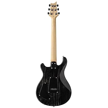 Amazon.com: PRS SE Swamp Ash Special Electric Guitar