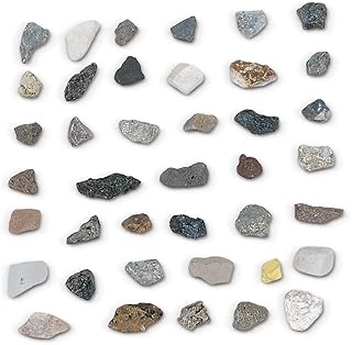Washington School Student Rock Collection