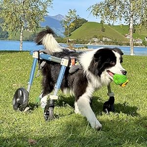 Cmyun 77887 Wózek Inwalidzki dla Psów XXL