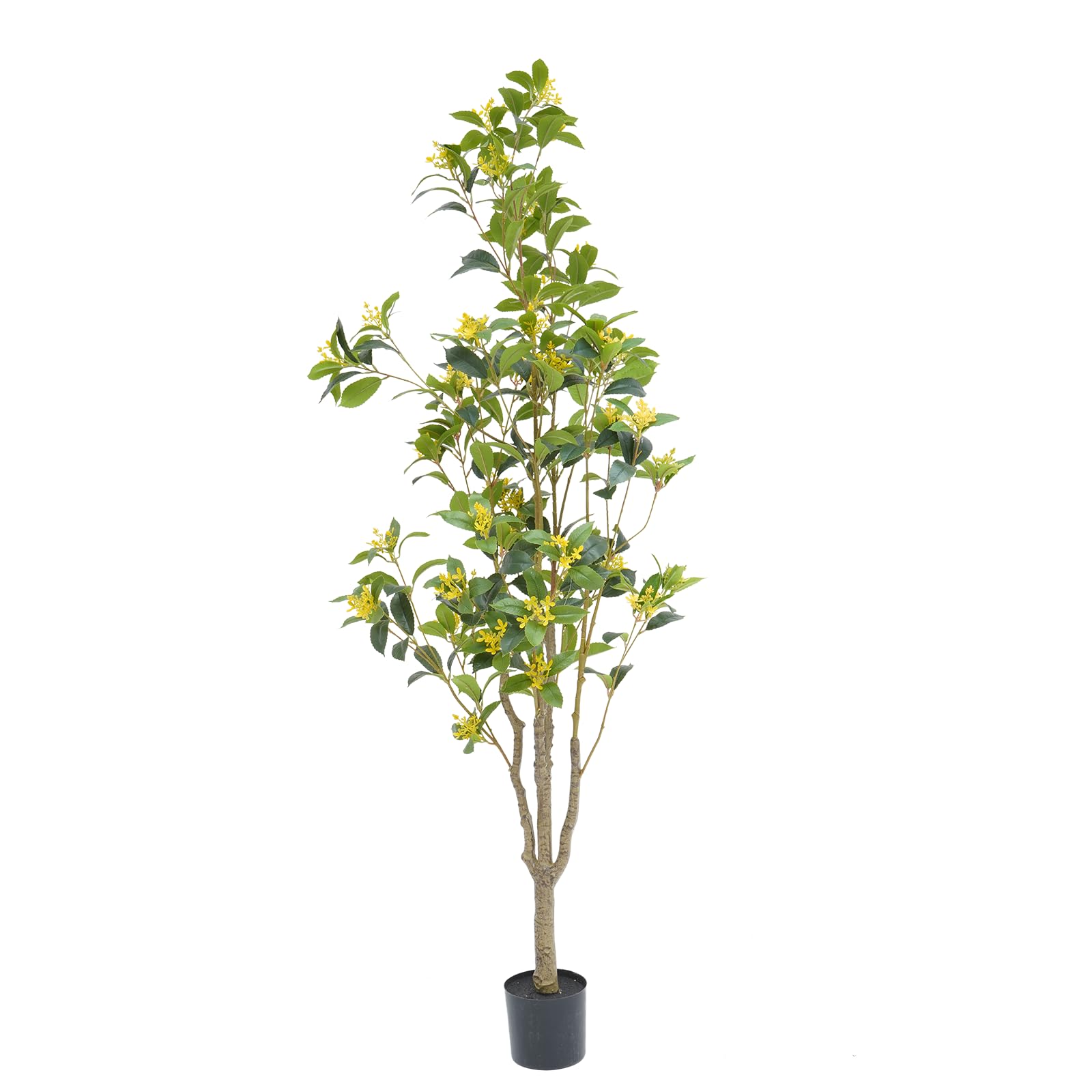 Amazon｜ybaymy 人工 観葉植物 フェイク 金木犀 150cm フェイク