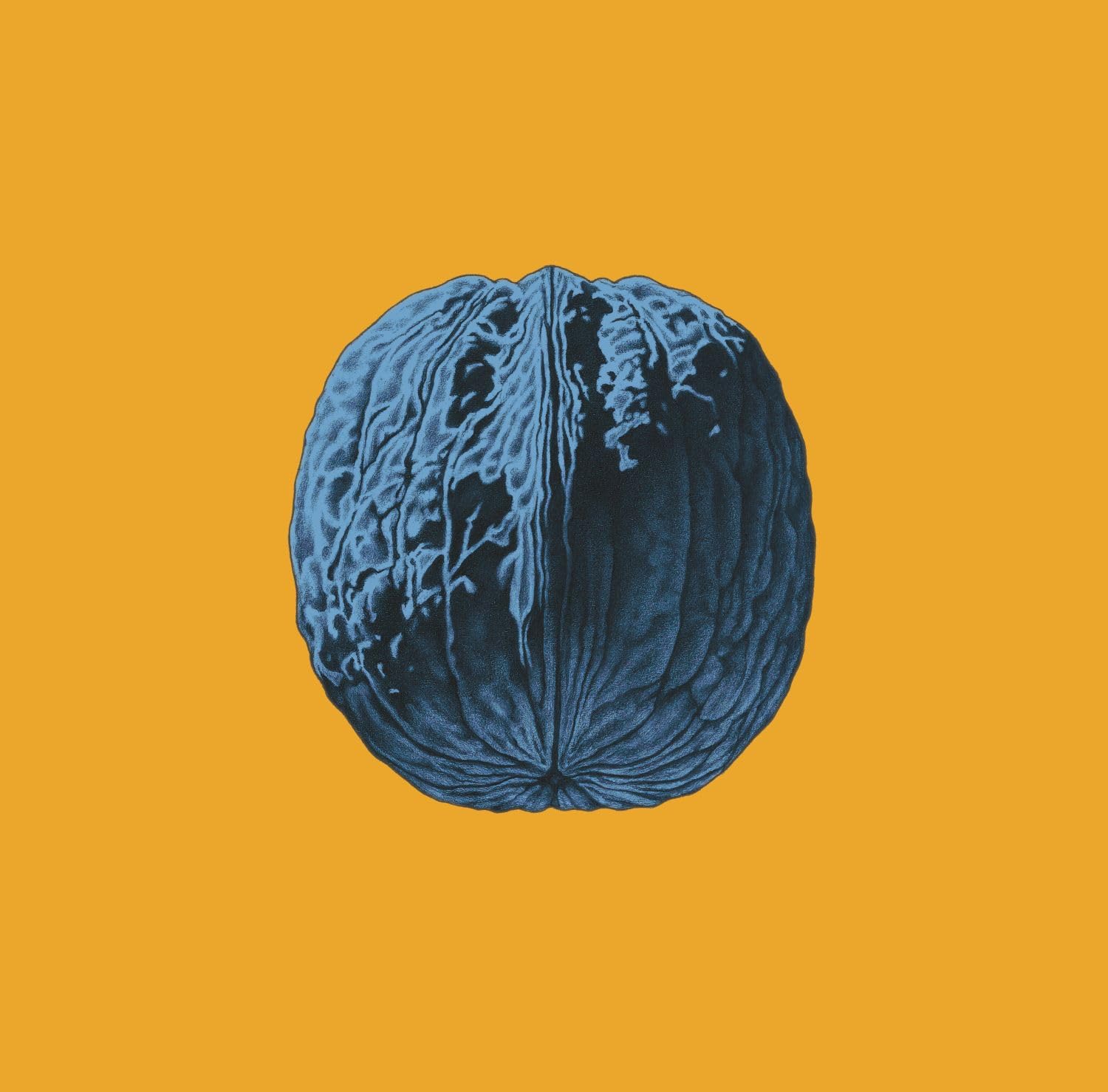 L’albero delle noci (CD)