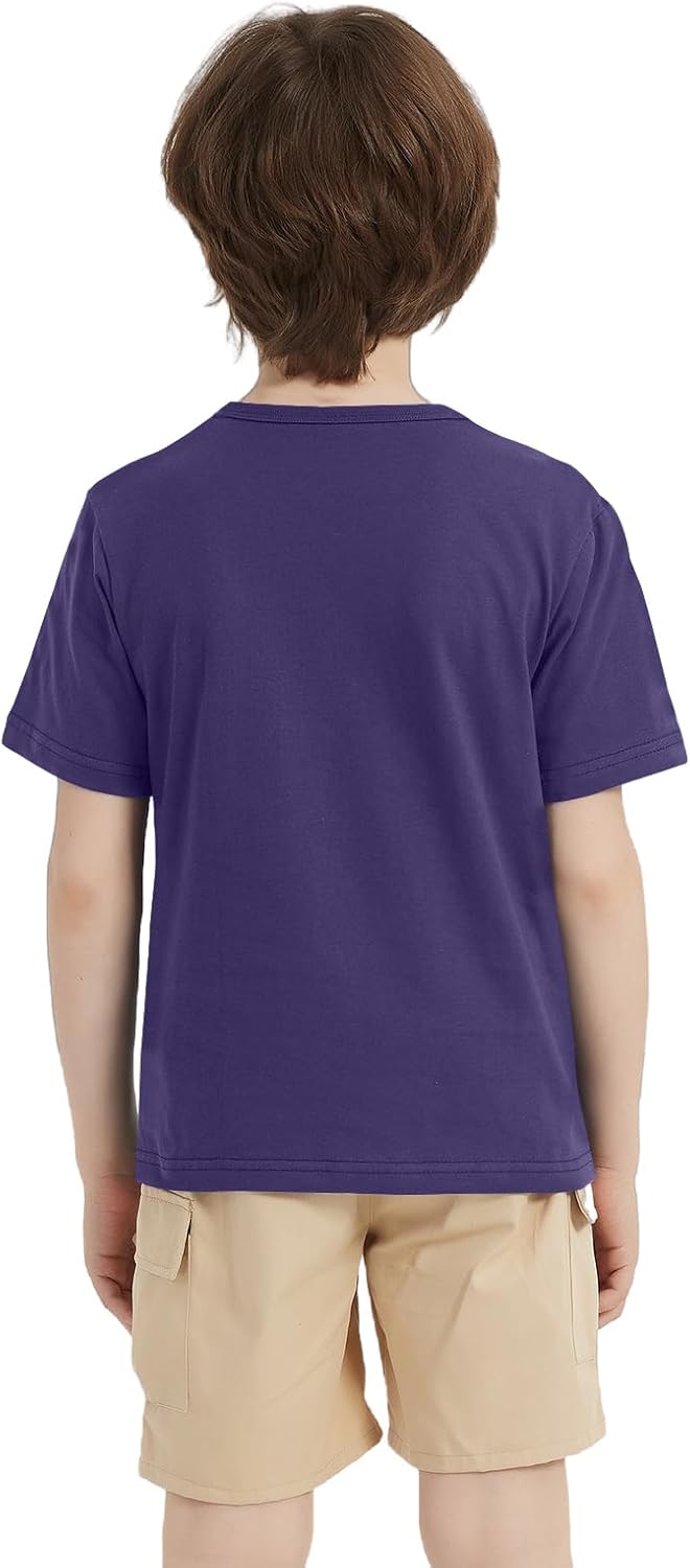 1 Pack Cotton Boys Kids Tshirt Short Sleeve Summer Tops Clothes Tee Shirts for Toddlers(Age 2-14) - Image 6