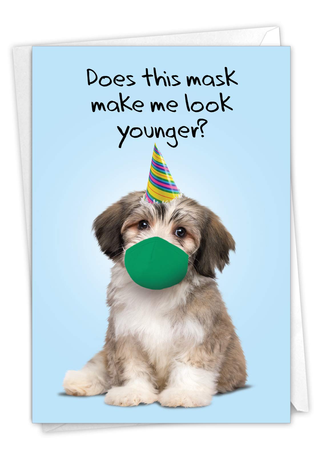 Why Does My Dog Always Greet Me With A Toy