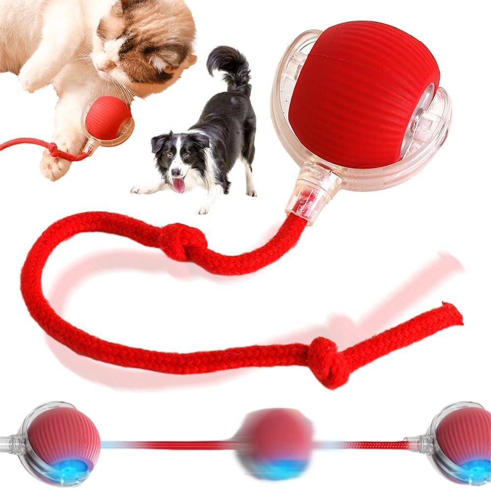 Interactive Cat Toy Ball for Indoor Cats - Electric Chirping Bird Sound Toy with Motion Activated Rolling Action