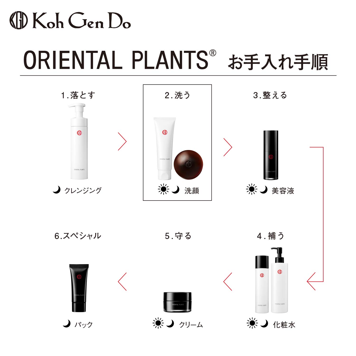 Amazon | コウゲンドウ(Koh Gen Do) 江原道 オリエンタルプランツ