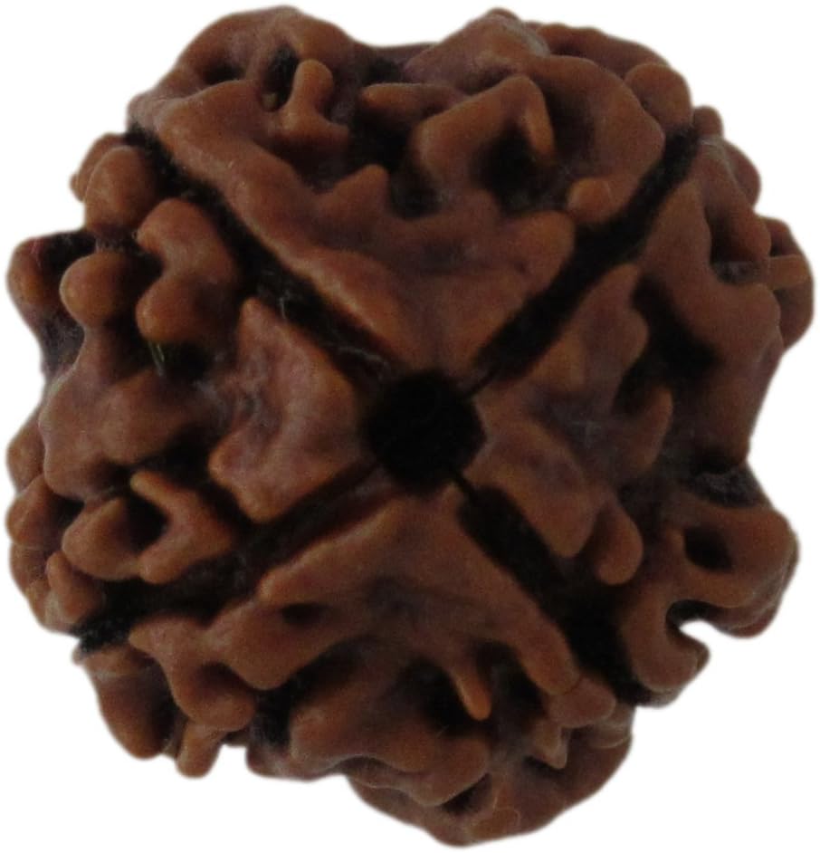 mygemsstone Char Mukhi (Four Mukhi) Rudraksha For Money Wealth And Health