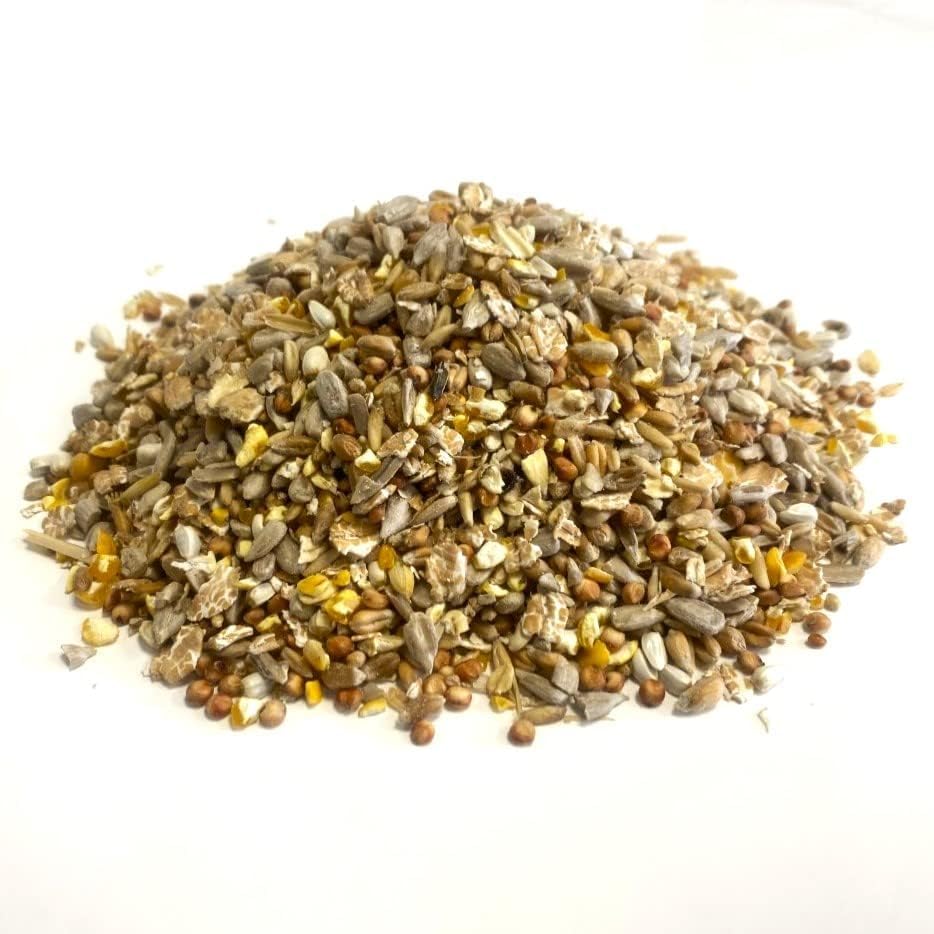 Sponsored Ad – No Mess Mixture 1kg Premium Wild Bird Food Garden Seed Feed LGW