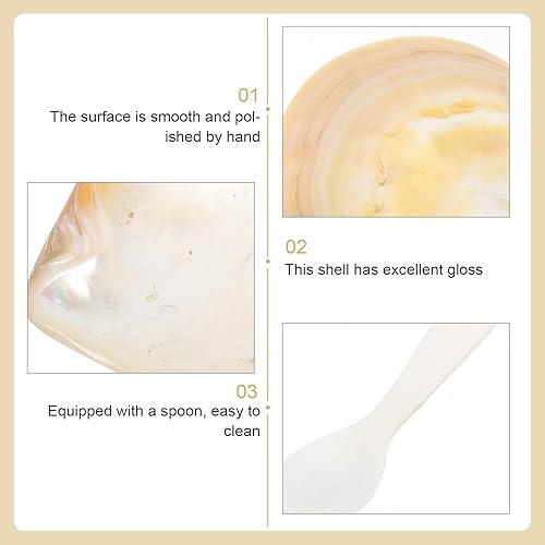 Miniatura 9 de Tofficu Plato y cuchara de cáscara plato reutilizable de 10X10CM, acabado natural, lavado a mano, para aperitivo, postre, joyería, 2 piezas, color