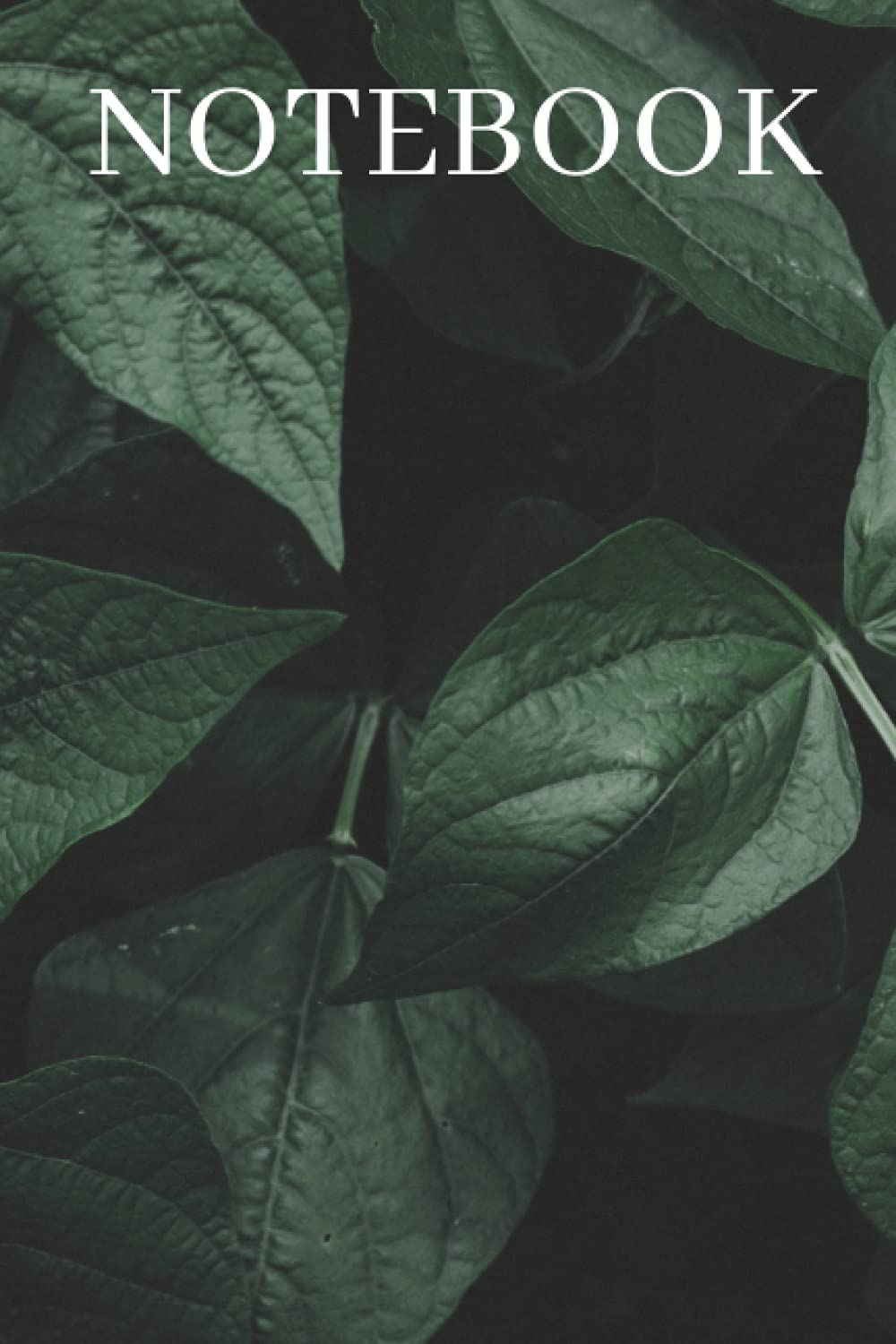 Notebook: Lined Notebook