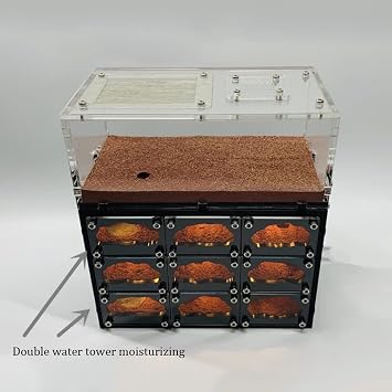 DAPERCI Ant Farm Castle Ant Castle Concrete W/USB Charging Cable Ant Farm House Clear Layered Workshop Ant Terrarium Educational Tools Gift Ant Habitat