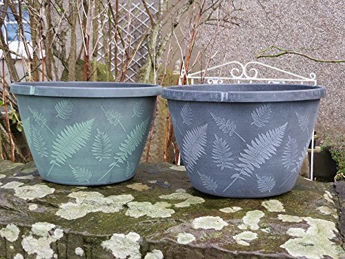 Fern Planter Pot 28cm in Diameter. 11