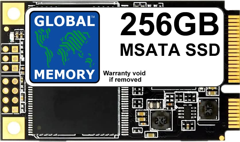 SSD mSATA 256 Go Disque Flash Interne Serveur et Station Travail