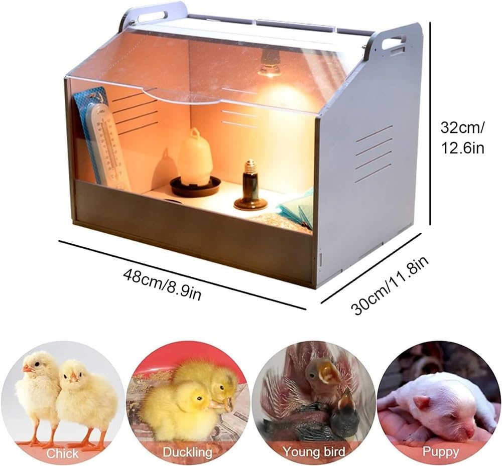 Caja de cría de pollitos con lámpara de calor, incluye perca, comedero y bebedero integrados para criar pollitos saludables