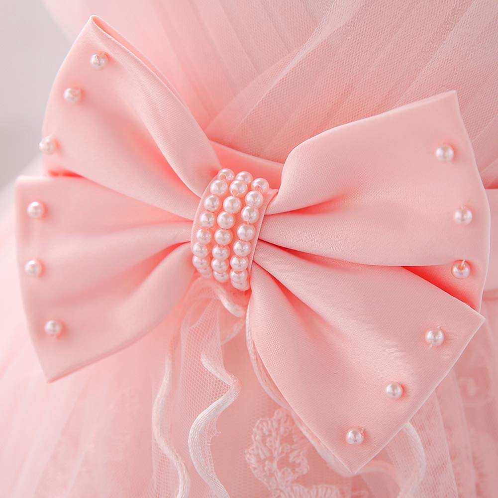 IBAKOM Robe Fleurie Bébé Fille Brodé Fleur Princesse Demoiselle d'honneur Mariage Anniversaire Fête Formelle Baptême sans Manches Tutu Mois