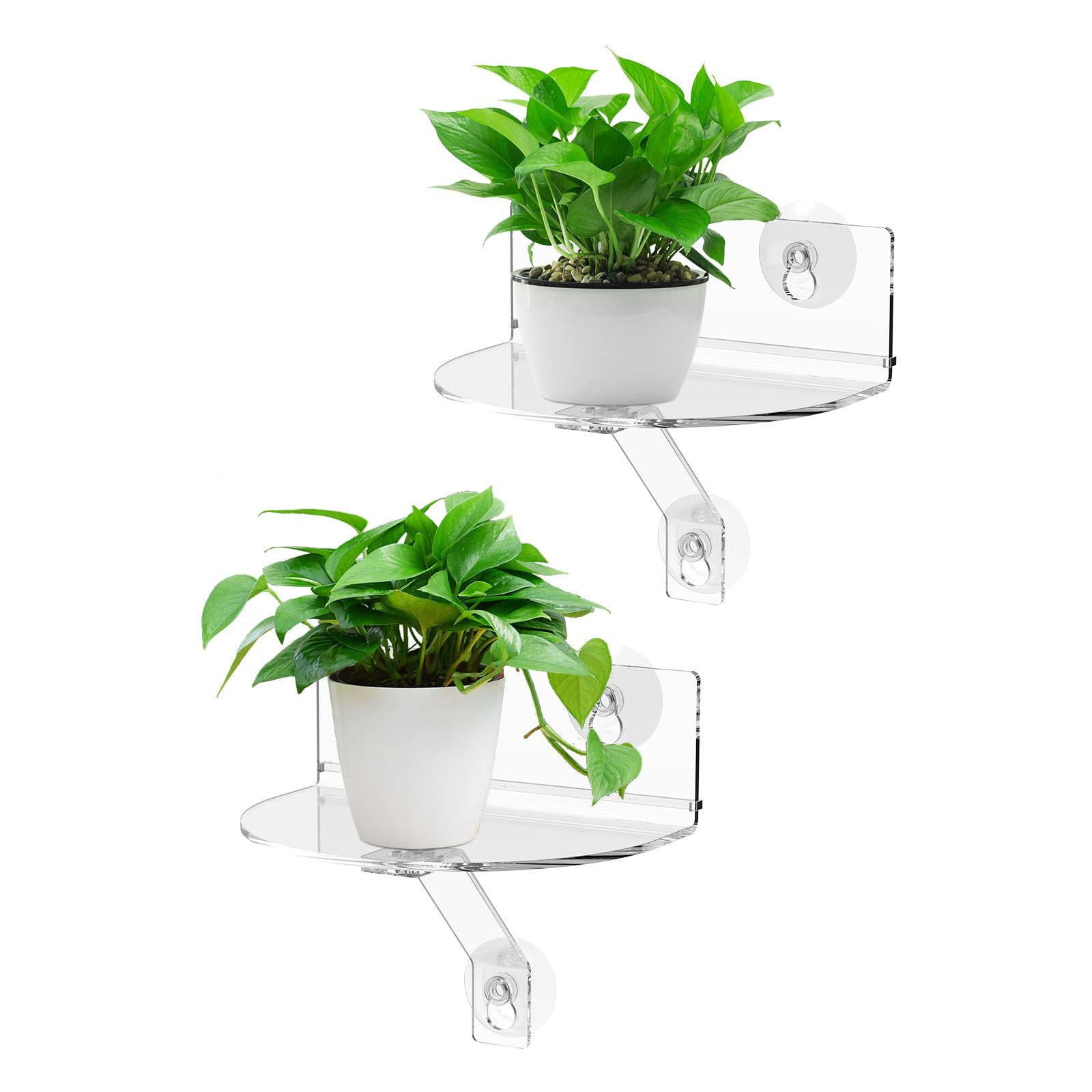 2Pcs Window Plant Shelves,Clear Acrylic Windowsill Plant Shelf with Strong Cup Suction and Support Brackets,20CM Indoor Outdoor Wall Plants Stand for Figures, Plants, Security Cameras, Speakers