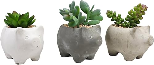 Miniatura 2 de Ebros Gift Juego de 3 suculentas botánicas artificiales realistas bonsái en pequeños cerdos en maceta de 5 pulgadas de alto, plantas de imitación