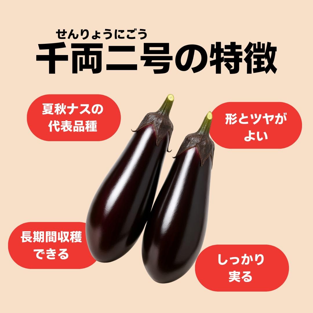 茄子男様用2 茄子男様用2