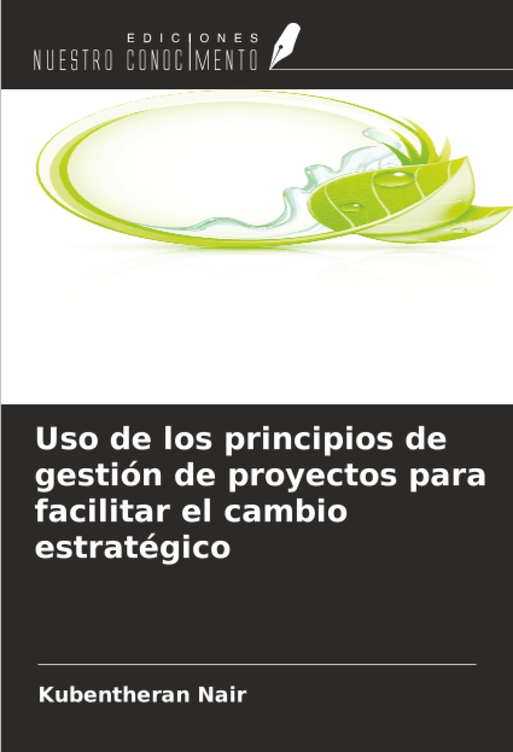 Uso de los principios de gestión de proyectos para facilitar el cambio estratégico