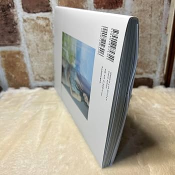 ★非売品★希少★　足立梨花　写真集　リリカル　イベント限定特典DVD　★非売品★ ☆非売品☆希少☆ 足立梨花 写真集 リリカル イベント限定特典