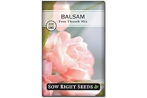 Sow Right Seeds - Balsam Tom Thumb Mix Flower Seeds for Planting