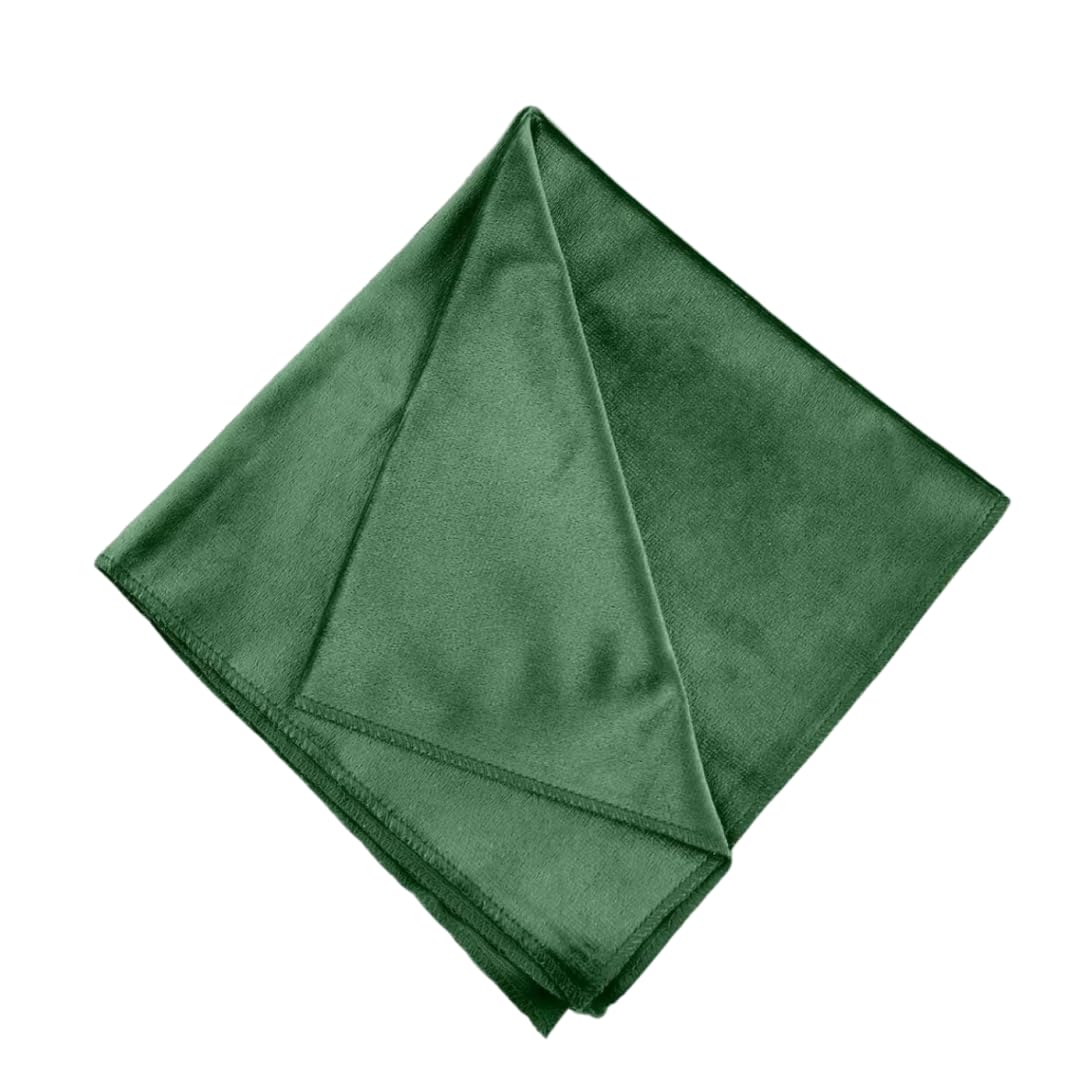 Napkins Cloth Set of 6 - Dark Green Velvet Napkins 18x18 Inch, for Table Decor, Wedding Reception, Family gathering, Thanksgiving Formal Dining Decoratio